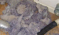 Dryer vent with overflowing lint pulled from vent