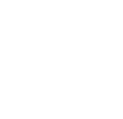 Black Velvet Chimney logo with chimney sweep standing on roof